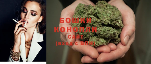 крисы Арсеньев