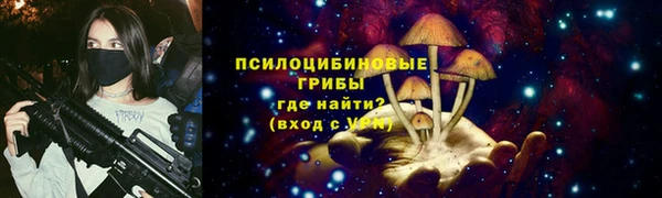 крисы Арсеньев