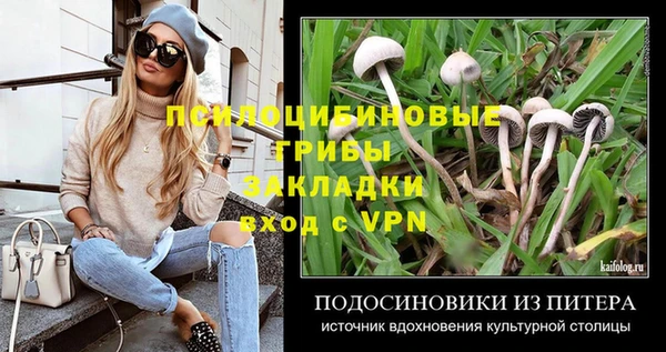 крисы Арсеньев