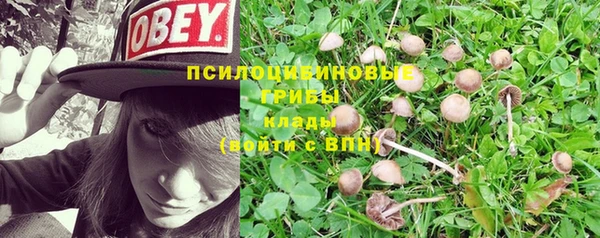 ешки Армянск