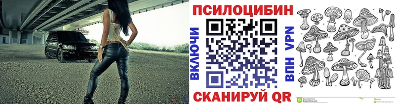 купить наркотик  МЕГА маркетплейс  Псилоцибиновые грибы мухоморы  Олёкминск 